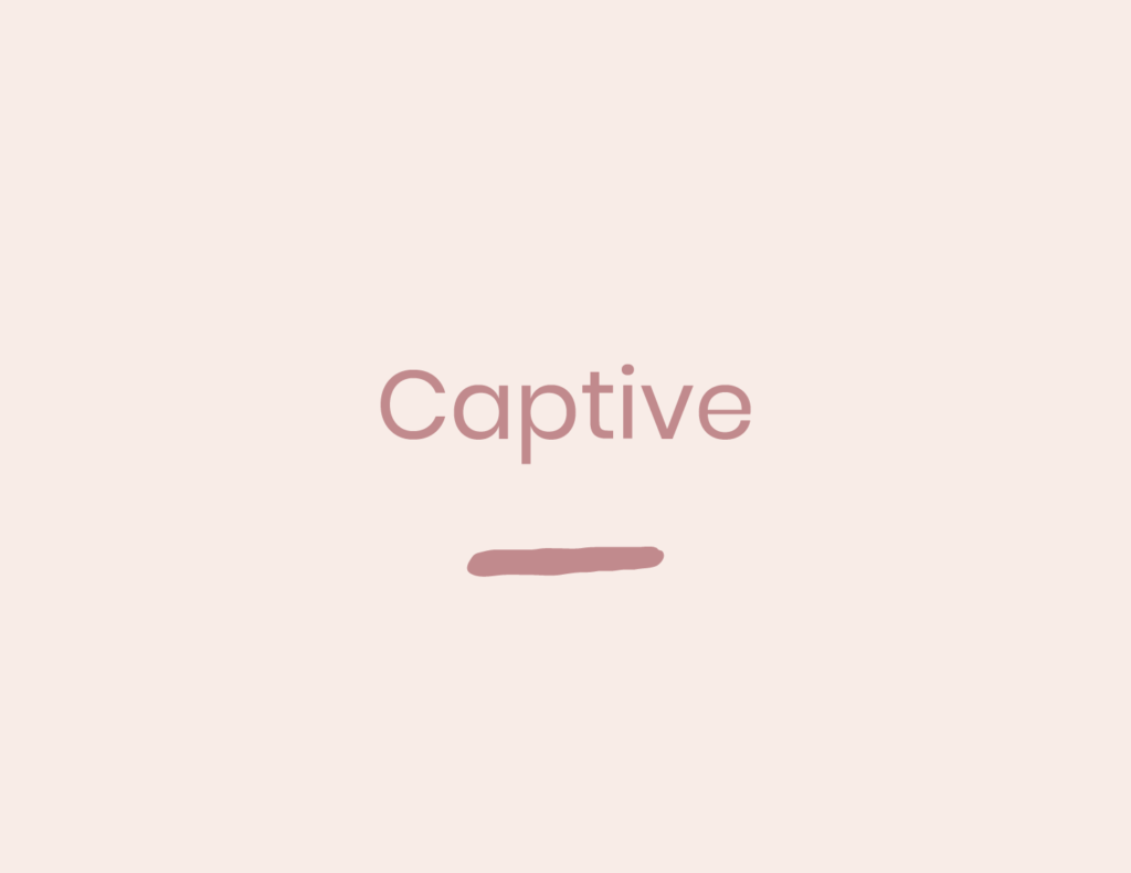 Vignette de la série Captive